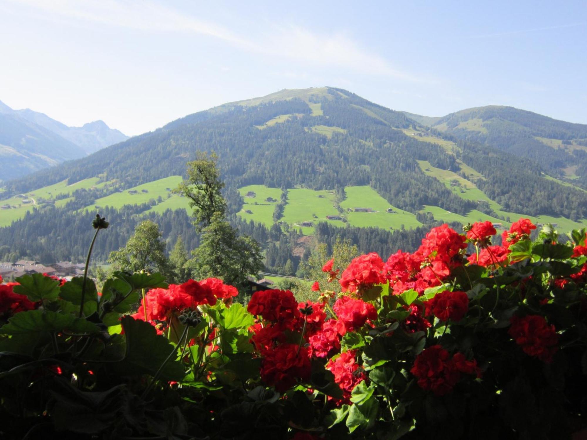 Apartamento Alpbachblick Exterior foto